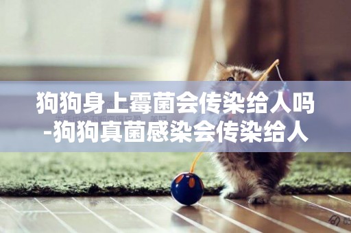 狗狗身上霉菌會傳染給人嗎-狗狗真菌感染會傳染給人嗎