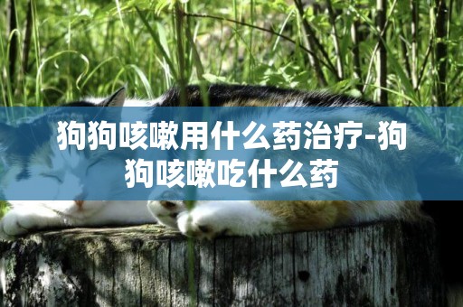 狗狗咳嗽用什么藥治療-狗狗咳嗽吃什么藥