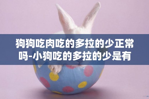 狗狗吃肉吃的多拉的少正常嗎-小狗吃的多拉的少是有蟲子嗎