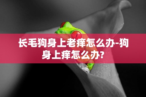 長毛狗身上老癢怎么辦-狗身上癢怎么辦?