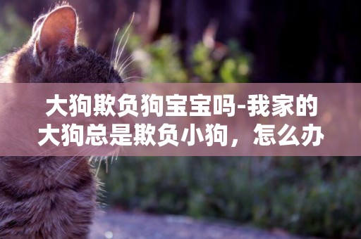 大狗欺負狗寶寶嗎-我家的大狗總是欺負小狗，怎么辦啊！