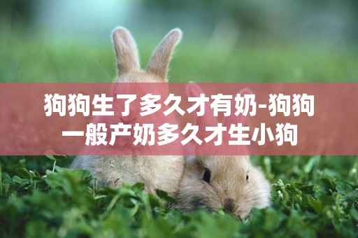 狗狗生了多久才有奶-狗狗一般產奶多久才生小狗