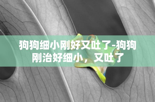 狗狗細小剛好又吐了-狗狗剛治好細小，又吐了