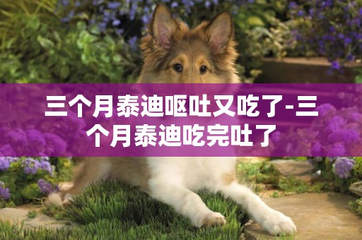 三個月泰迪嘔吐又吃了-三個月泰迪吃完吐了