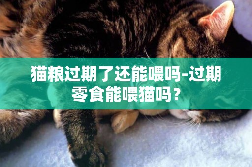貓糧過期了還能喂嗎-過期零食能喂貓嗎？