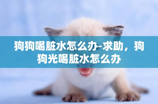 狗狗喝臟水怎么辦-求助，狗狗光喝臟水怎么辦