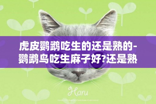 虎皮鸚鵡吃生的還是熟的-鸚鵡鳥吃生麻子好?還是熟麻子好?