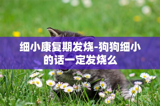 細小康復期發燒-狗狗細小的話一定發燒么