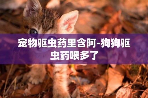 寵物驅蟲藥里含阿-狗狗驅蟲藥喂多了