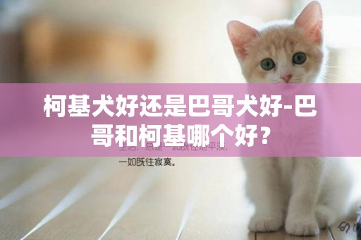 柯基犬好還是巴哥犬好-巴哥和柯基哪個好？