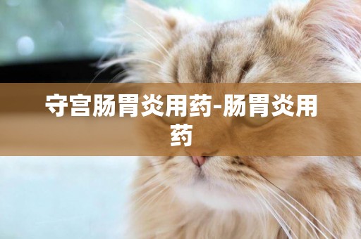 守宮腸胃炎用藥-腸胃炎用藥