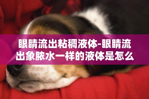 眼睛流出粘稠液體-眼睛流出象膿水一樣的液體是怎么回事？