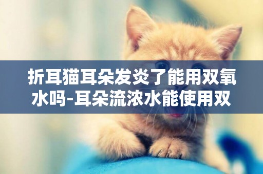 折耳貓耳朵發炎了能用雙氧水嗎-耳朵流濃水能使用雙氧水嗎？