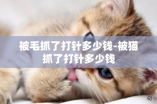 被毛抓了打針多少錢-被貓抓了打針多少錢