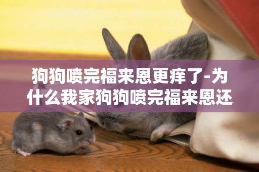 狗狗噴完福來恩更癢了-為什么我家狗狗噴完福來恩還是癢呢？
