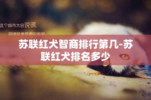 蘇聯紅犬智商排行第幾-蘇聯紅犬排名多少