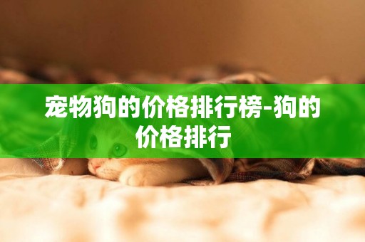 寵物狗的價格排行榜-狗的價格排行