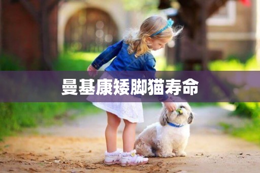 曼基康矮腳貓壽命