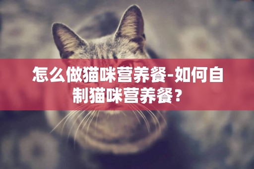 怎么做貓咪營養餐-如何自制貓咪營養餐？