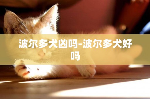 波爾多犬兇嗎-波爾多犬好嗎