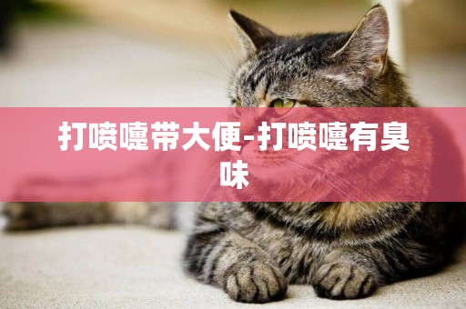 打噴嚏帶大便-打噴嚏有臭味