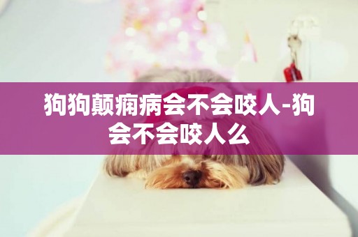 狗狗顛癇病會不會咬人-狗會不會咬人么