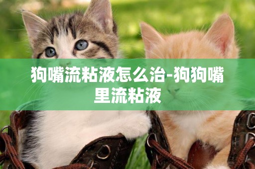 狗嘴流粘液怎么治-狗狗嘴里流粘液
