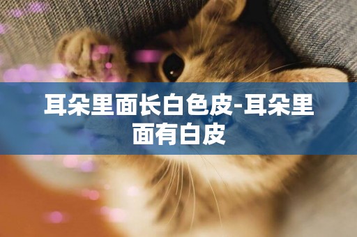耳朵里面長白色皮-耳朵里面有白皮