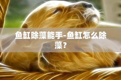 魚缸除藻能手-魚缸怎么除藻？