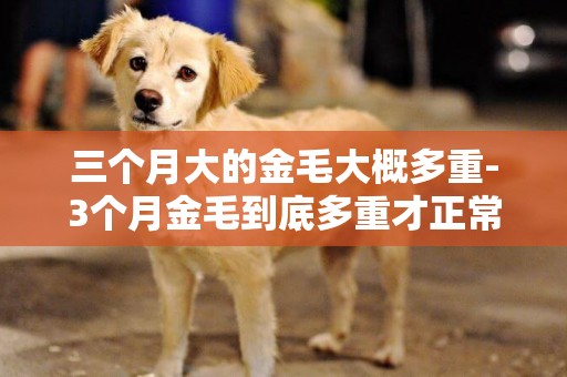 三個月大的金毛大概多重-3個月金毛到底多重才正常