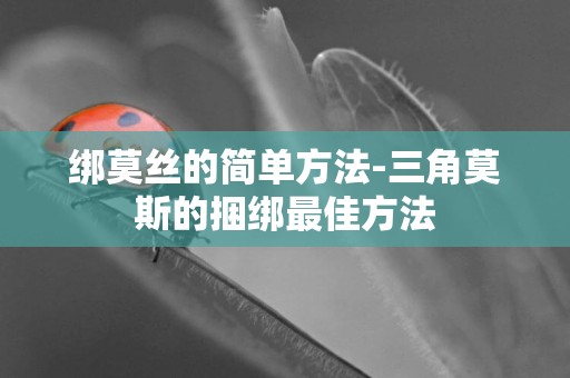 綁莫絲的簡單方法-三角莫斯的捆綁最佳方法