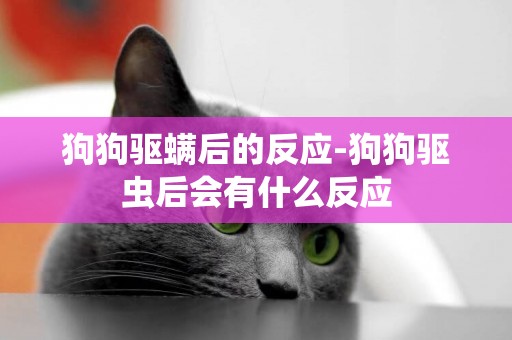 狗狗驅螨后的反應-狗狗驅蟲后會有什么反應
