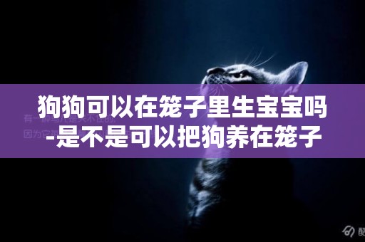狗狗可以在籠子里生寶寶嗎-是不是可以把狗養在籠子里?