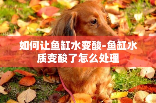 如何讓魚缸水變酸-魚缸水質變酸了怎么處理