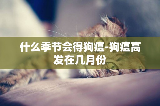 什么季節會得狗瘟-狗瘟高發在幾月份