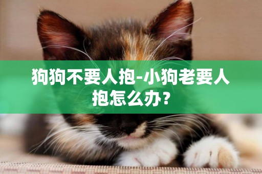 狗狗不要人抱-小狗老要人抱怎么辦？