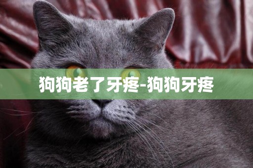 狗狗老了牙疼-狗狗牙疼