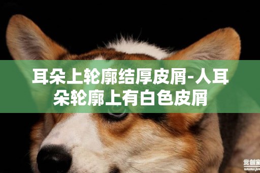 耳朵上輪廓結厚皮屑-人耳朵輪廓上有白色皮屑