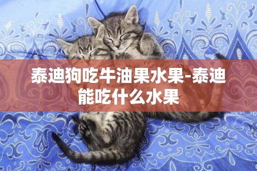 泰迪狗吃牛油果水果-泰迪能吃什么水果