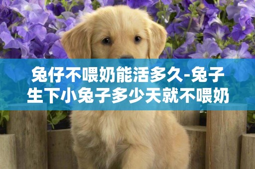 兔仔不喂奶能活多久-兔子生下小兔子多少天就不喂奶了