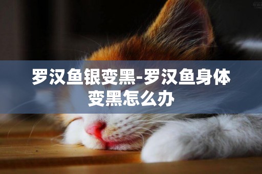 羅漢魚銀變黑-羅漢魚身體變黑怎么辦
