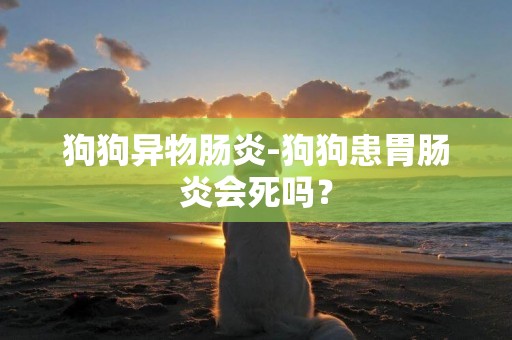 狗狗異物腸炎-狗狗患胃腸炎會死嗎？