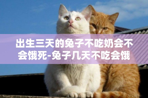 出生三天的兔子不吃奶會不會餓死-兔子幾天不吃會餓死？