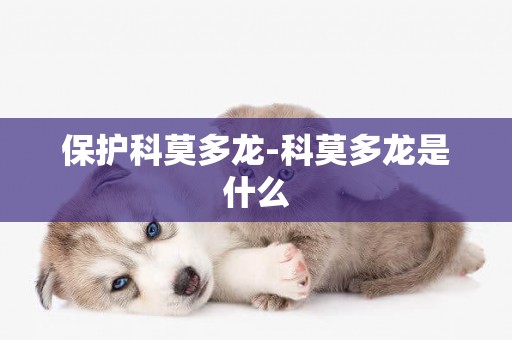 保護科莫多龍-科莫多龍是什么