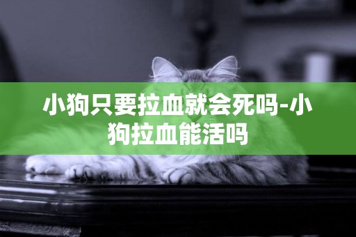 小狗只要拉血就會死嗎-小狗拉血能活嗎