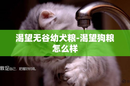 渴望無谷幼犬糧-渴望狗糧怎么樣
