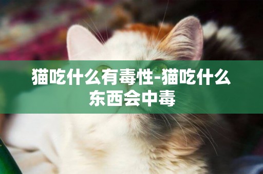 貓吃什么有毒性-貓吃什么東西會中毒