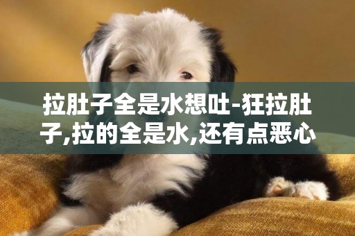 拉肚子全是水想吐-狂拉肚子,拉的全是水,還有點惡心,想吐,四肢無力,流虛汗,這是怎么了啊?急!
