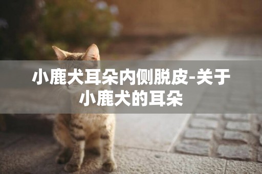 小鹿犬耳朵內側脫皮-關于小鹿犬的耳朵