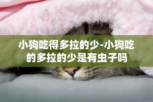 小狗吃得多拉的少-小狗吃的多拉的少是有蟲子嗎